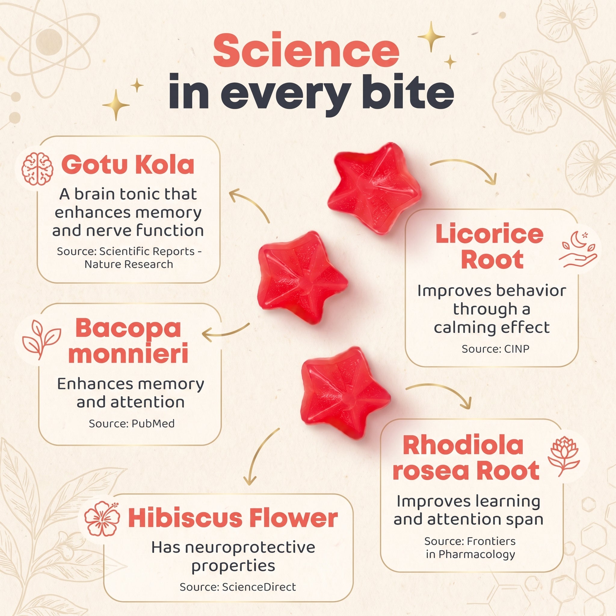 Genius Kids Focus Gummies Bacopa + Rhodiola | Ages 4+